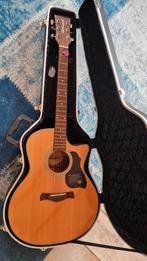 Richwood Master Series Westerngitaar met Koffer, Muziek en Instrumenten, Snaarinstrumenten | Gitaren | Akoestisch, Ophalen, Zo goed als nieuw