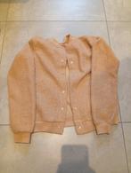 Wolle vest maat 146 152 merk WE, Kinderen en Baby's, Kinderkleding | Maat 146, Gebruikt, WE, Meisje, Trui of Vest