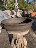 Bonsai pot 49x40x13, Ophalen, ., Nieuw, Minder dan 25 cm
