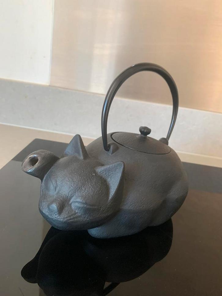 Japans gietijzeren theepot-> Nanbu Tekki, Tuin en Terras, Gieters, Zo goed als nieuw, Ophalen of Verzenden