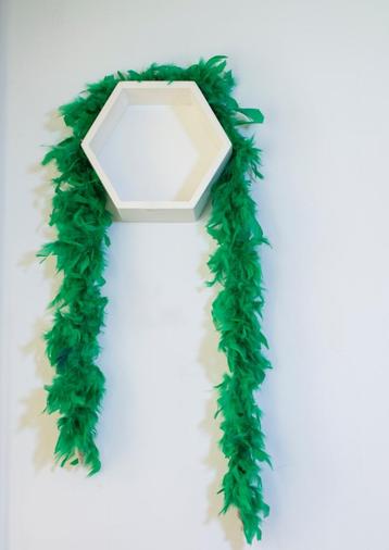 groene veren boa  beschikbaar voor biedingen