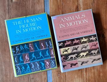 The Human Figure & Animals in Motion - Eadweard Muybridge beschikbaar voor biedingen