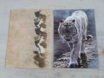 Mooie ansicht kaart met envelop Tijger NIEUW, Verzamelen, Ansichtkaarten | Dieren, Ophalen of Verzenden, Ongelopen, Wild dier