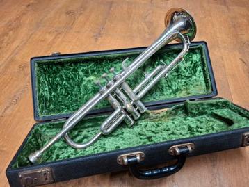 Amati kraslice trompet beschikbaar voor biedingen
