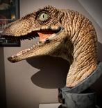 Raptor lifesize bust Jurassic Park, Verzamelen, Ophalen, Zo goed als nieuw, Film, Beeldje, Replica of Model