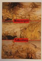 Blanco kaart monster grot dino's zuid limburg  valkenburg, Ongelopen, Ophalen of Verzenden, Limburg