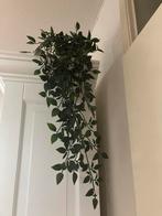 Nep planten en bloemen, Ophalen of Verzenden, Zo goed als nieuw