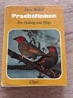 Prachtfinken, Horst Bielfleld, Dieren en Toebehoren, Geslacht onbekend
