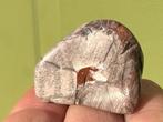 Mushroom Jaspis broekzaksteen mineralen, Ophalen of Verzenden, Mineraal