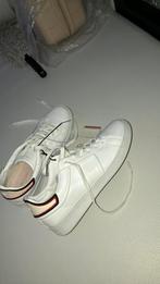 Tommy hilfiger dames sneakers nieuw 38, Wit, Nieuw, Ophalen of Verzenden, Sneakers of Gympen