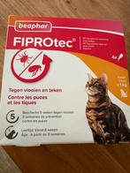 Te koop fiprotec voor katten, Dieren en Toebehoren, Katten-accessoires, Ophalen