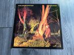 LP Echo & The Bunnymen - Crocodiles, Ophalen of Verzenden, 1980 tot 2000, Gebruikt, 12 inch