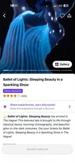 Tickets voor Ballet of Lights, 25 januari 19:45, Eén persoon, Januari, Ballet of Dans