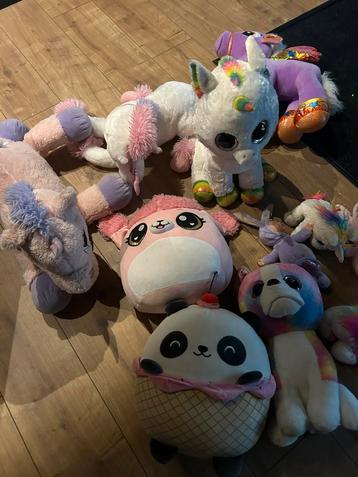 Nette knuffels beschikbaar voor biedingen