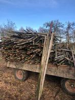Houten Boompalen te koop, Tuin en Terras, Haardhout, Minder dan 3 m³, Ophalen, Overige houtsoorten, Takken
