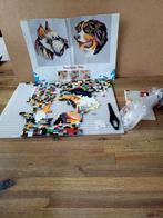 Ministeck huisdieren 4 in 1 hond en kat, Ophalen, Gebruikt, Box-set