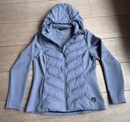 Human Nature Softshell jas Dames paars maat L, Ophalen, Zo goed als nieuw, Maat 38/40 (M), Paars