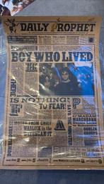 Harry potter poster, Verzamelen, Posters, Ophalen of Verzenden, Zo goed als nieuw, A1 t/m A3, Film en Tv