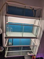 Aquarium stellingkast - Opruiming!, Ophalen of Verzenden, Gebruikt