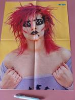 Nina Hagen poster. 70/80er jaren., Verzamelen, Ophalen of Verzenden, Poster, Artwork of Schilderij, Zo goed als nieuw