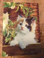 Snoezige kitten, Verzenden, 1980 tot heden, Gelopen, Hond of Kat