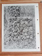 Bram Bogart foto prent jaren 60/70, Antiek en Kunst, Verzenden
