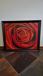 Schilderij Rode Roos door Dael, Ophalen