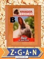 De leukste knaagdieren gids, Boeken, Dieren en Huisdieren, Ophalen of Verzenden, Zo goed als nieuw, Konijnen of Knaagdieren