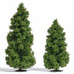 Busch Modelbouw 1:87 Lariksen set van 2 st., 1:50 of kleiner, Busch GmbH & Co. KG, Nieuw, Ophalen of Verzenden