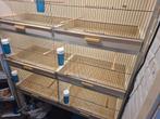 te koop nette kweekkooi, Dieren en Toebehoren, Ophalen, Gebruikt, Hout, Broedkooi of Kweekkooi
