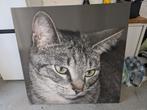 Groot canvas doek kat, Ophalen, 125 cm of meer, Schilderij, 75 cm of meer
