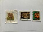 Papoea Nieuw-Guinea Koraal Postzegels, Ophalen of Verzenden, Gestempeld