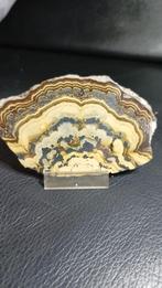 Schalenblende - Mineraal, Ophalen of Verzenden
