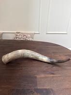 Watusi Hoorn - Stoer, Landelijk, Vergrijsd - 59cm, Huis en Inrichting, Woonaccessoires | Overige, Ophalen of Verzenden, Gebruikt