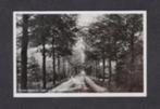 Frederiksoord Laan in het Sterrebosch 1953., Ophalen of Verzenden, 1940 tot 1960, Gelopen, Drenthe