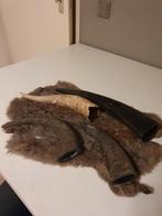 Diverse hoorns, Huis en Inrichting, Woonaccessoires | Overige, Ophalen of Verzenden, Zo goed als nieuw
