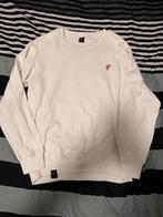 Witte Trui - Maat L, Kleding | Heren, Truien en Vesten, Ophalen of Verzenden, Zo goed als nieuw, Maat 52/54 (L), Wit