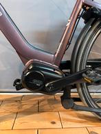 Elektrische Transporter fiets CORTINA COMMON FAMILY, Fietsen en Brommers, Fietsen | Dames | Moederfietsen, Overige merken, 47 tot 50 cm