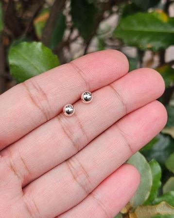 Bolletjes Oorknoppen 5mm - Echt Zilver beschikbaar voor biedingen