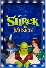 musical shrek, Amsterdam 20-07-'25 2 kaartjes, Twee personen, Juli