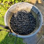 Bio ballen, Ophalen, Zo goed als nieuw, Vijverfilter