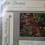 Johann Strauss - An der schönen blauen Donau, Cd's en Dvd's, Vinyl | Klassiek, Ophalen of Verzenden, Romantiek, Zo goed als nieuw