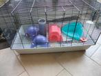 Knaagdier kooi, incl spullen voor ratten, Dieren en Toebehoren, Ophalen, Kooi, Gebruikt, Rat