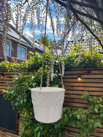 Vintage hangpot  beschikbaar voor biedingen