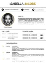 ️ Online Hulp – Cv’s, Brieven, Teksten & Kleine Klussen, Ophalen of Verzenden