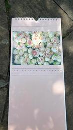 PAUL HUF ART UNLIMITED BLOEMEN VERJAARDAGSKALENDER, Ophalen of Verzenden, Maandkalender, Nieuw