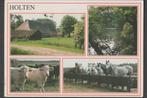 Holten 4 luik Boerderij Koeien Paarden Natuur Gelopen 1996, Gelopen, Overijssel, Verzenden, 1980 tot heden