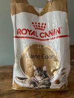 Main coon brokken nog 4,5 kilo., Ophalen, Kat