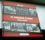 Spijk in vroeger tijden deel 3( Vogelswerf, Arie Sterk)., Boeken, Geschiedenis | Stad en Regio, Ophalen of Verzenden, Zo goed als nieuw