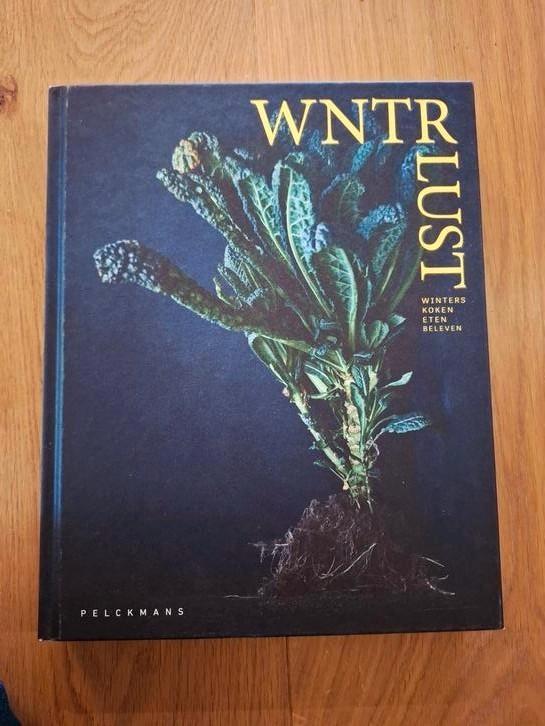 Debby De Mangelaere - Winterlust Nieuw, Boeken, Kookboeken, Zo goed als nieuw, Ophalen of Verzenden